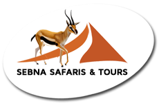 Sebna Safaris & Tours Logo