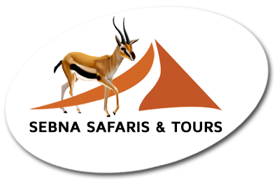 Sebna Safaris & Tours Logo